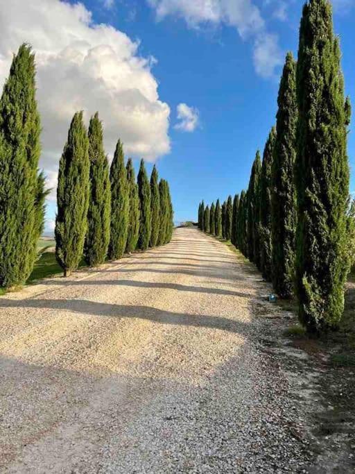 Toscana Amore Mio, Stunning View & 14Min Volterra Montecatini Val di Cecina Bagian luar foto